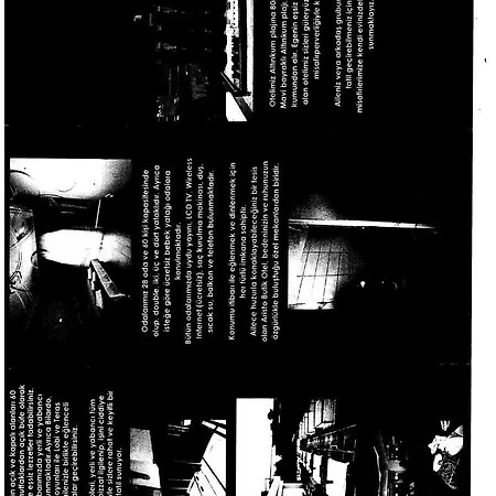 Aristo 3* ديديم