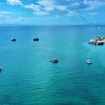 Aristo Didim