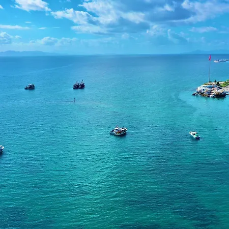 Aristo ディディム